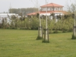 Camping de Kolibrie